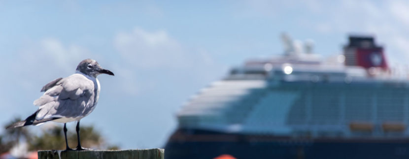 Disney Cruise Line Will Open A New Island Destination In The Bahamas Next Year