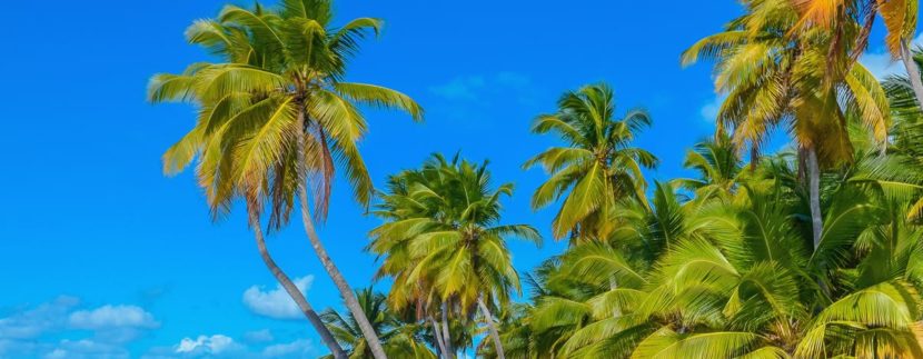 JetBlue Launches New Flights To The Dominican Republic
