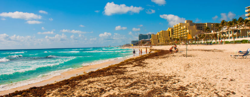 These Are 5 Of The Top Beaches Around Cancun With Lower Levels Of Seaweed