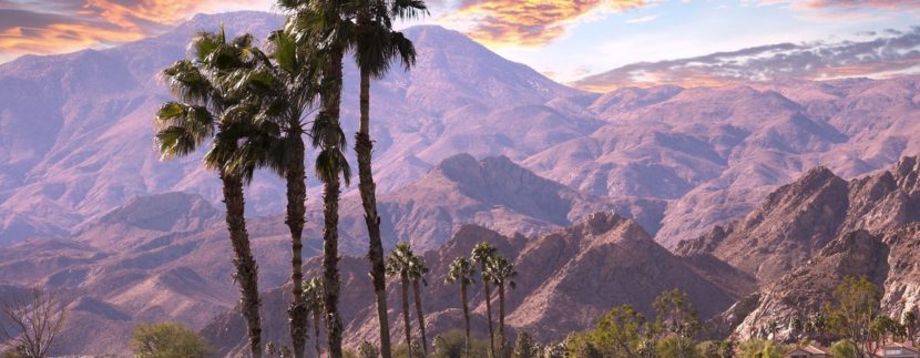 Top 7 Hotels In Palm Springs, California In 2023