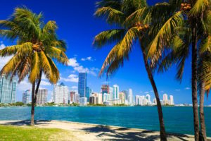 6 Reasons Miami Is Exploding In Popularity With Tourists Right Now