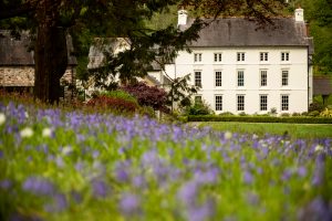 Grove of Narberth awarded the ‘UK’s Best Small Hotel’ by Tripadvisor