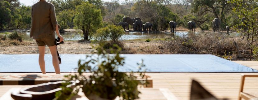 MORE Family Collection extends footprint into Thornybush Nature Reserve