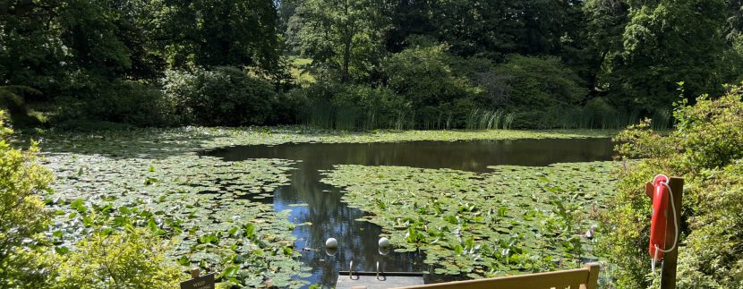 Swinton Estate launches summer wild swimming season on private lake
