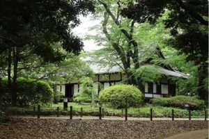 Experience a variety of Japanese culture in a Japanese house with 270 years of history!
